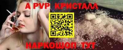 спиды Ярославль