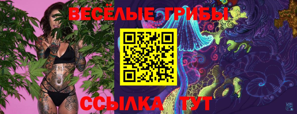 наркошоп  Вход с VPN  Муром  Галлюциногенные грибы прущие грибы 