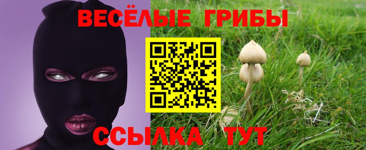 Галлюциногенные грибы Psilocybine cubensis Муром